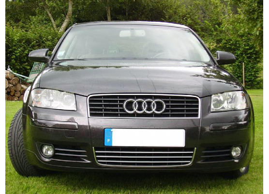 Baguette de calandre inférieure chromée pour Audi A4 série 1 9498série 2 0004 RS4 0001 S4 0308 