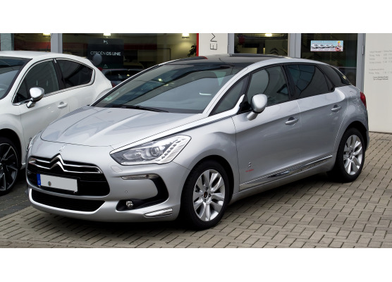 Baguette de calandre inférieure chromée pour Citroën DS 5