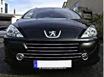 Chromleiste für Kühlergrill Peugeot 307 0509 Peugeot 307 CC 0509 Peugeot 307 SW 0509